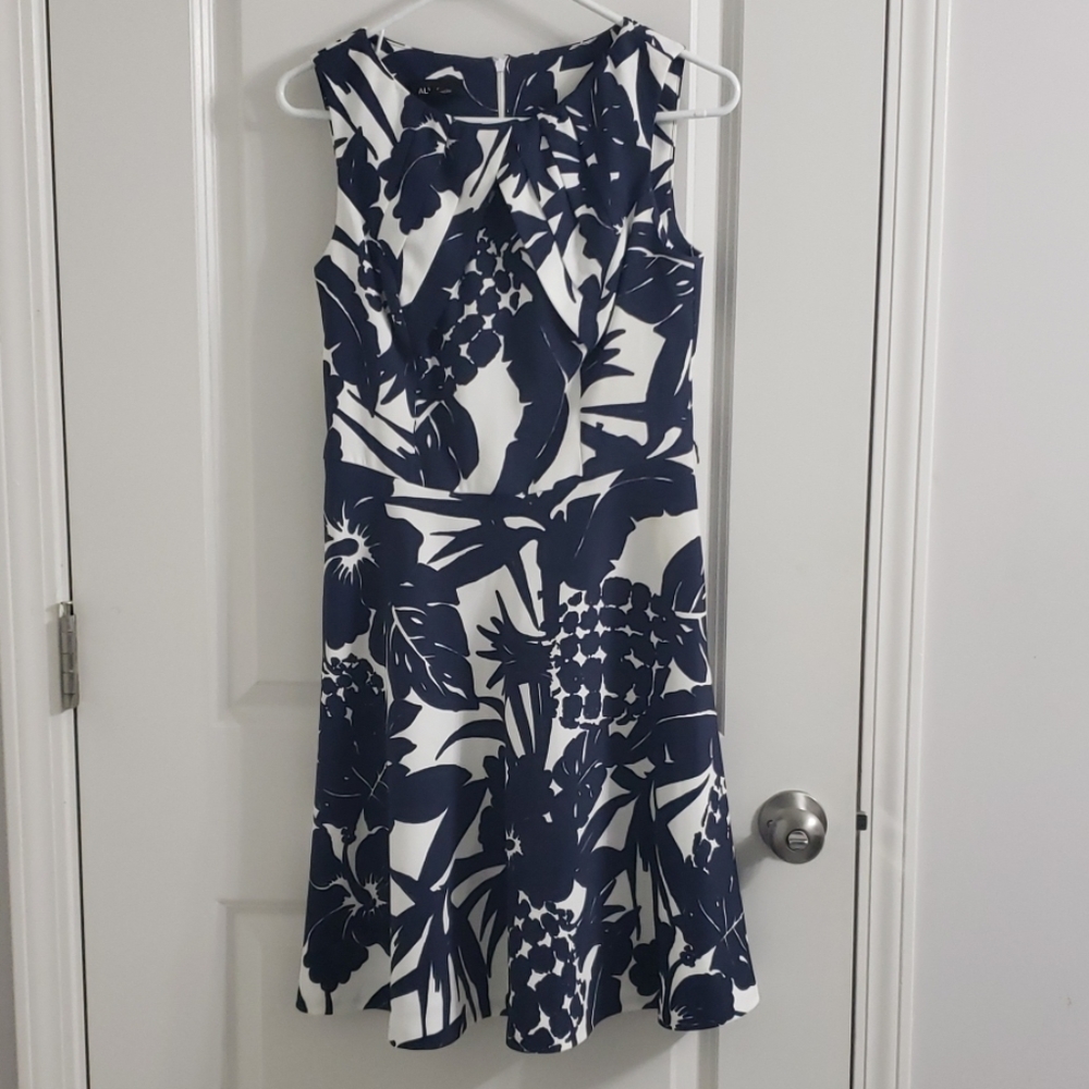 Blue and white dress